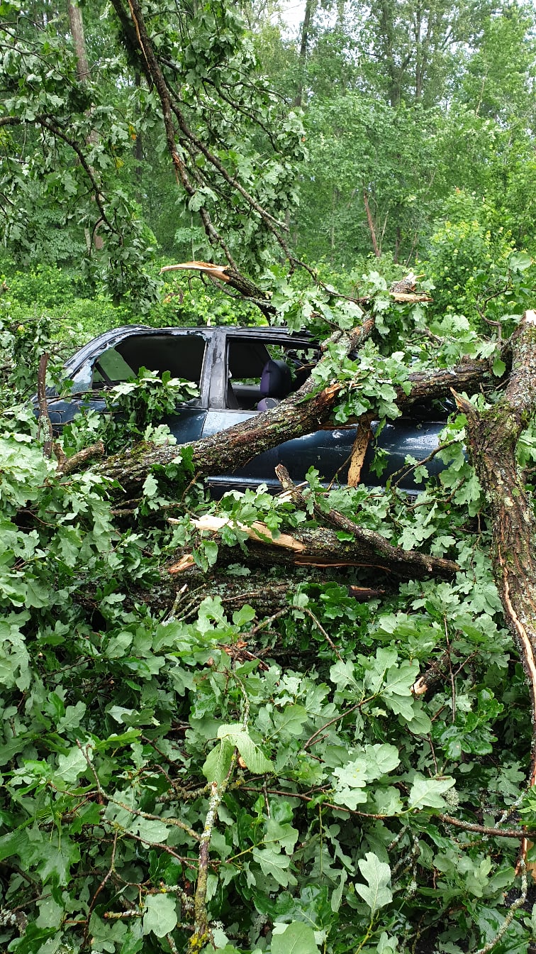 По Брянску прошелся ураган: поваленный дуб «похоронил» автомобиль