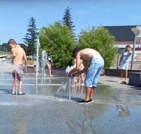 Брянцев возмутила стирка в фонтане (видео)