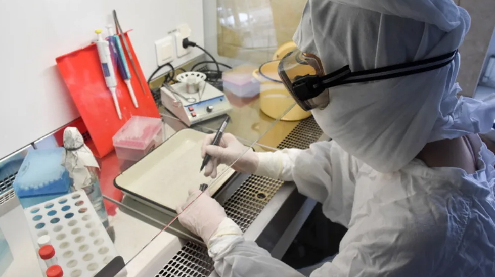Опять 0,8: в Брянской области назвали коэффициент распространения коронавируса