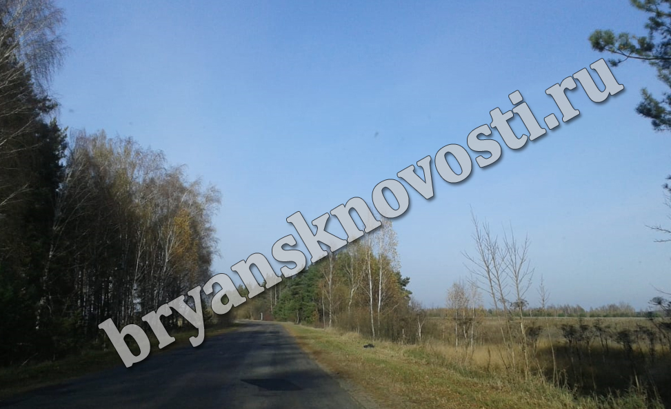 Нет желающих. Аукцион по ремонту дороги в Новозыбковском округе признали не состоявшимся