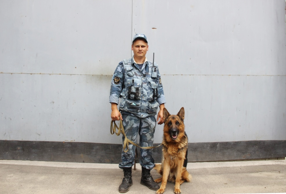 Кинолог Николай Покатило и его пес Кант спасли пропавшего в Брянской области человека