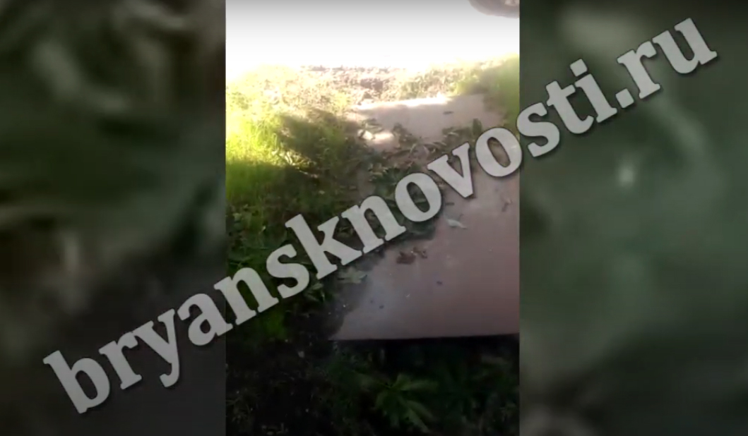Ливневку на улице Ленина в Новозыбкове прокопали, но не там. Запруда не устранена