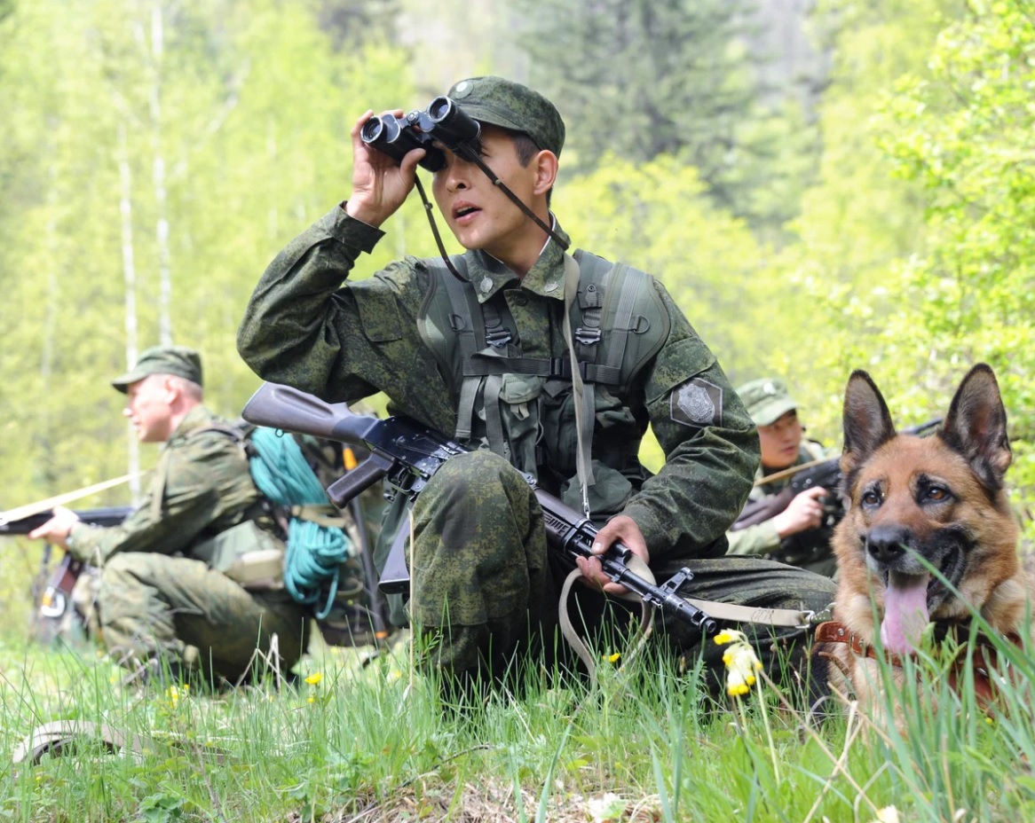 Фото военных профессий