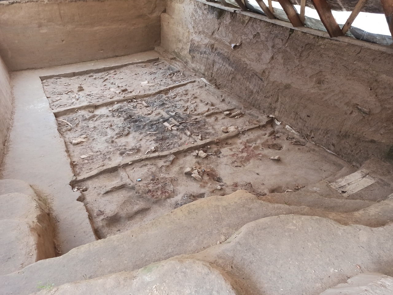 Брянцы могут лично увидеть археологические раскопки в Хотылево