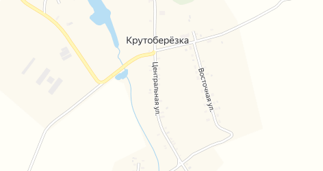 В Новозыбковском районе утонул мужчина
