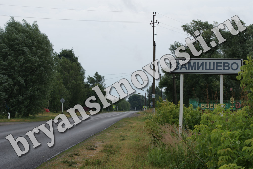 В Новозыбковском округе гостью «угостили» деревянной палкой