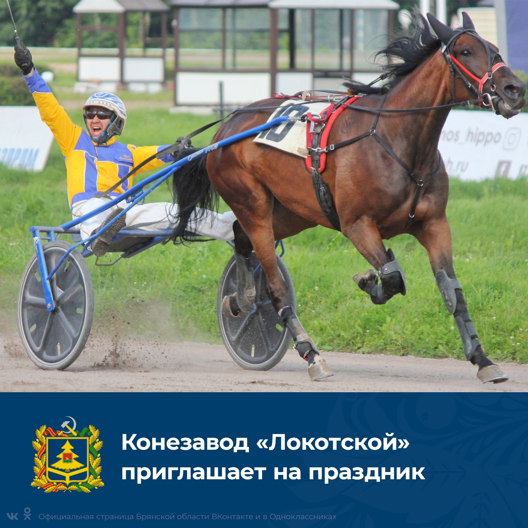 Праздник, посвященный 125-летию Локотского конного завода, состоится 6 сентября