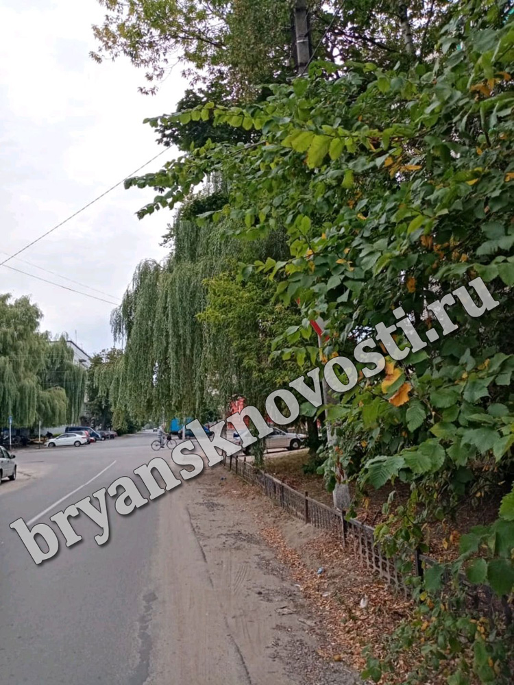 В Новозыбкове на одном из основных перекрестков города «спрятался» дорожный знак