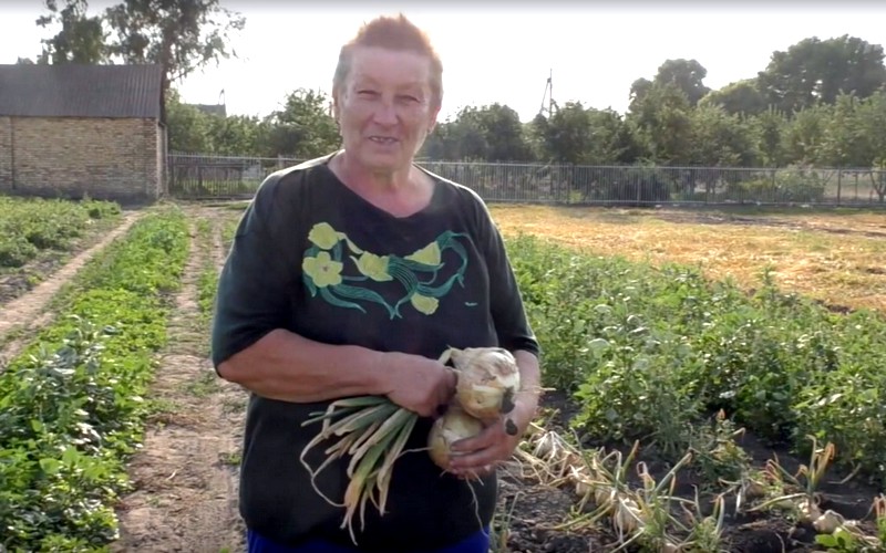 Жительница Брянска поделилась секретом выращивания гигантского лука