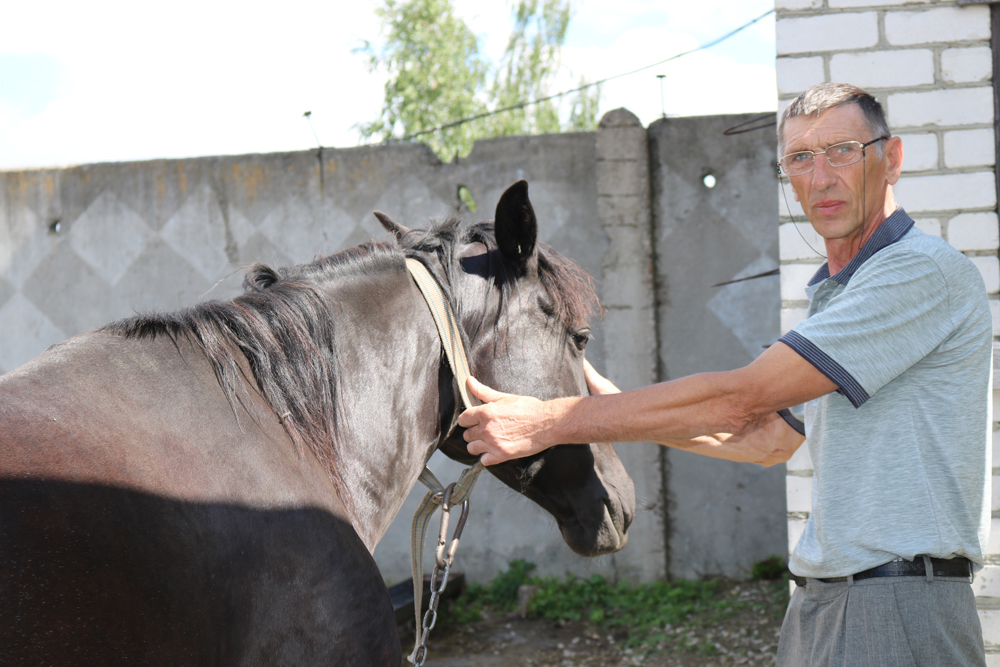 В Комаричском районе освоят два гранта из 12-ти на поддержку начинающих фермеров