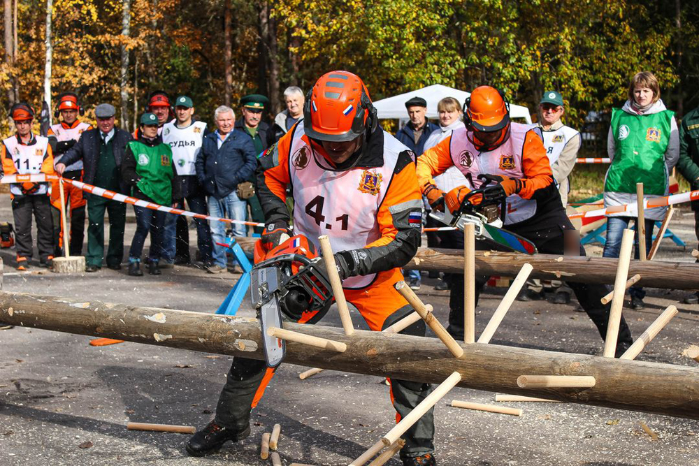 Названа дата проведения VI Чемпионата Брянской области среди вальщиков леса «Лесоруб-2020»