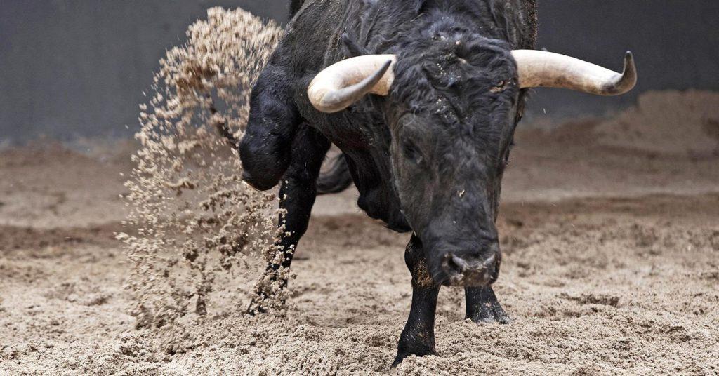 В Брянской области бык убил на ферме 57-летнего мужчину
