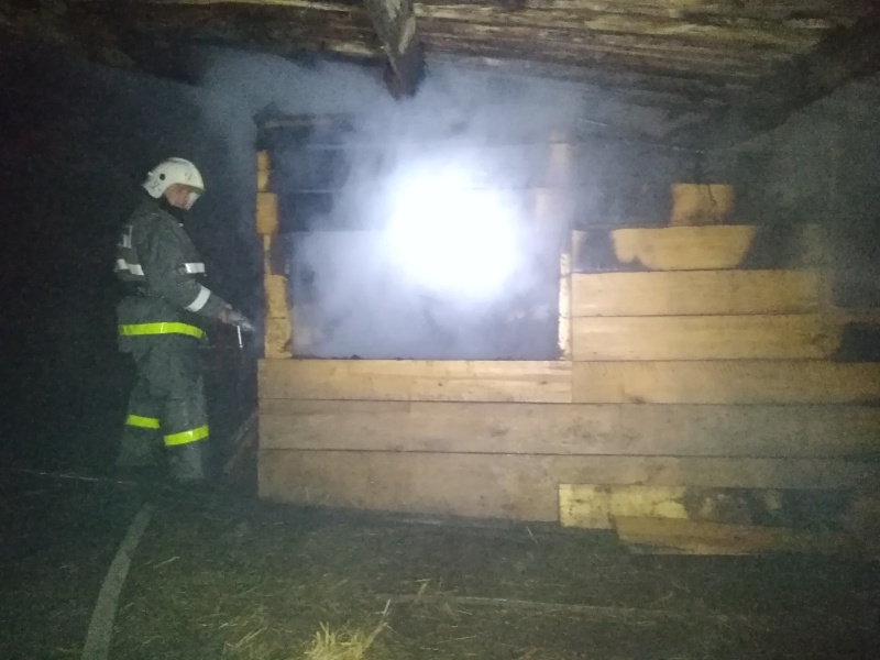 При пожаре в Почепском районе пострадал человек