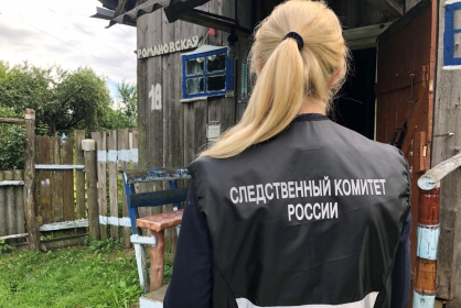 Ранее судимый житель Выгоничского района подозревается в убийстве матери