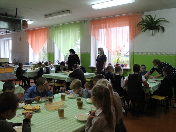 Во всех школах Брянской области учеников начальной школы кормят бесплатно