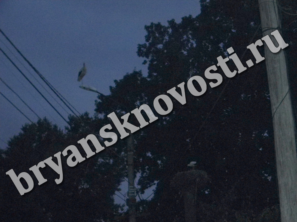 «Уезжая домой, выключает свет». Жители Новозыбкова пожаловались на темные улицы (ВИДЕО)