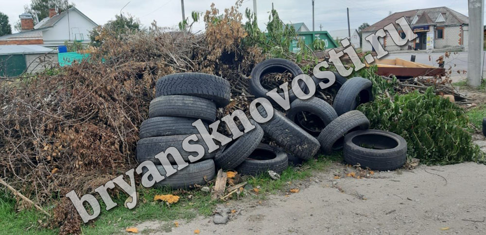 Свалку на улице Коммунистической в Новозыбкове завалили экологически опасными отходами (ВИДЕО)