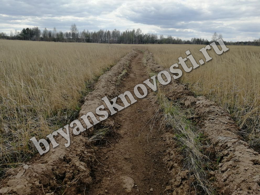 75 лет ходили по снарядам: в Новозыбкове раскопали на огороде боеприпасы