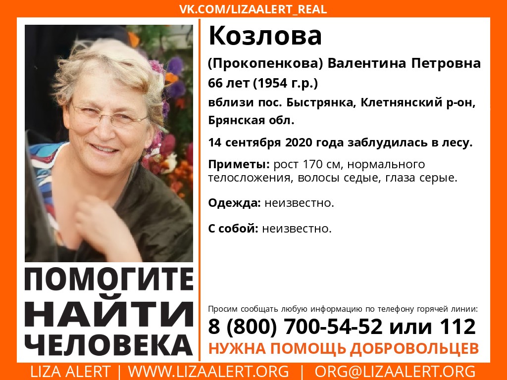 В брянском лесу пропала 66-летняя женщина