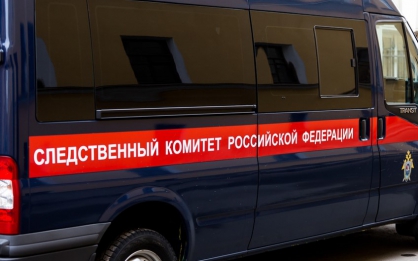 СК завершил расследование убийства на улице Зеленой в Клинцах
