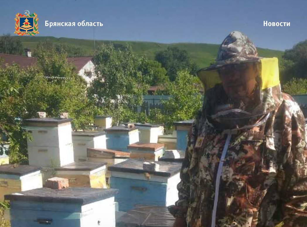 В Брянской области официально зарегистрировались 409 пчеловодов