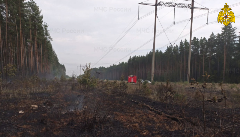 В Карачевском районе ликвидировали лесной пожар