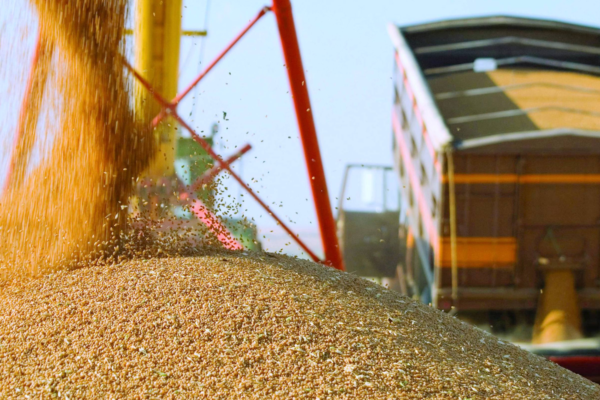 МЖД зафиксировала рост погрузки зерновых в брянском регионе на 63 процента