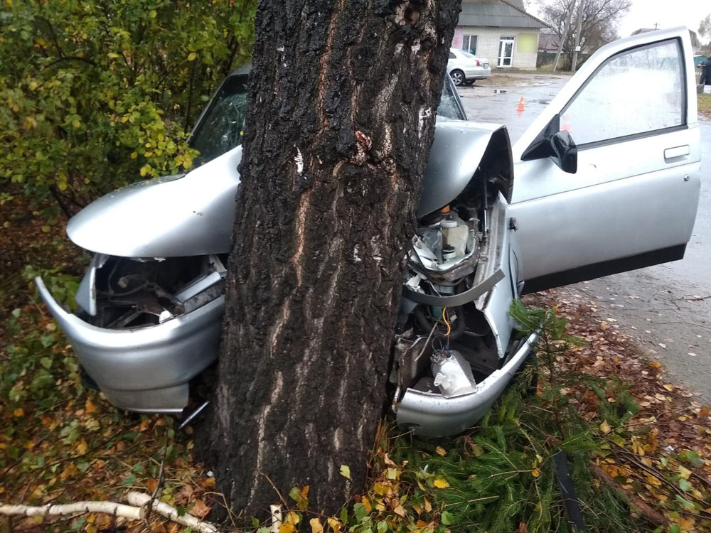 В Карачеве автомобиль влетел в дерево. Пострадали четыре человека
