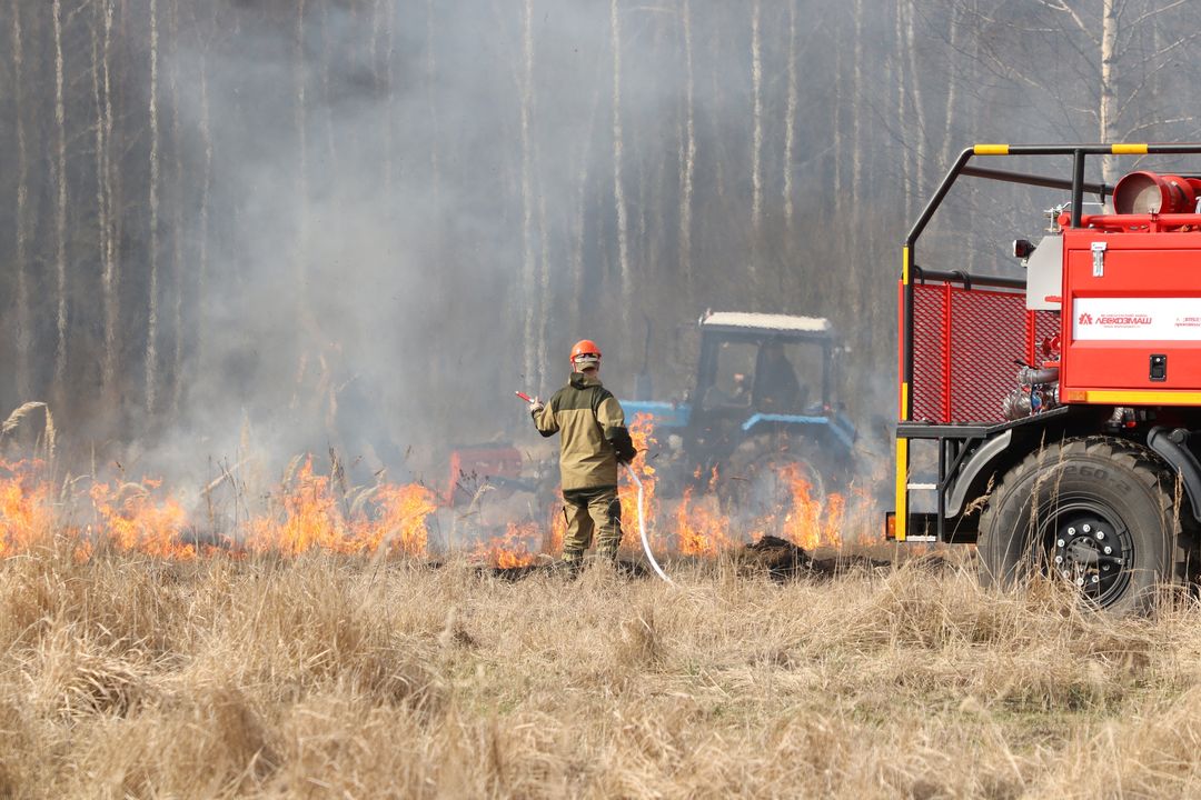 Пожароопасный сезон в лесах Брянской области длился 210 дней