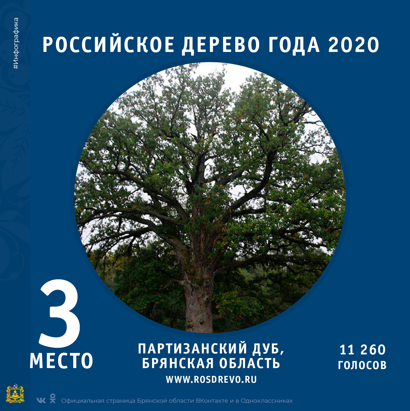 Брянский «Партизанский дуб» занял третье место в конкурсе «Российское дерево года 2020»