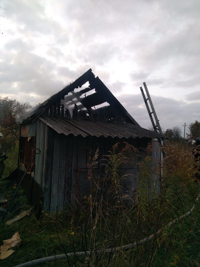Огонь уничтожил дачный домик в Новозыбкове