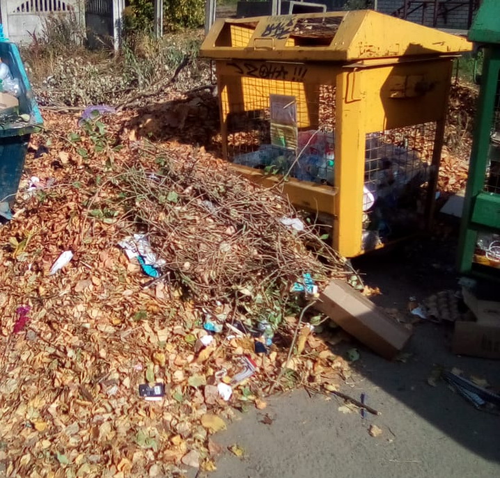 В Брянске дворники с улицы Шолохова захламили контейнерную площадку опавшей листвой