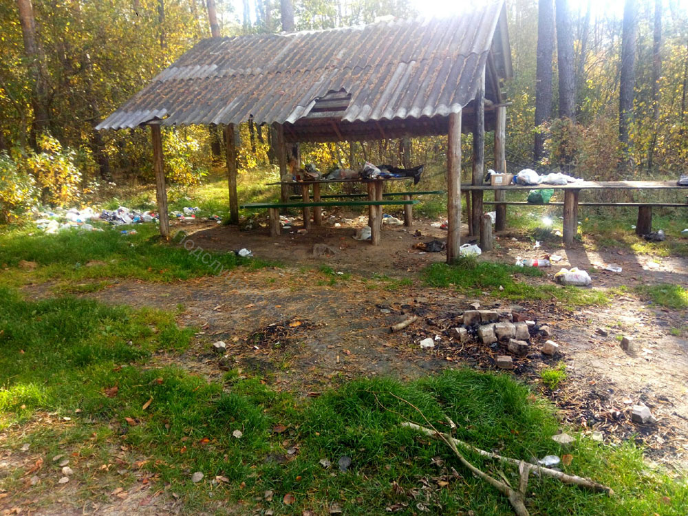 Жители Климово предложили устроивших свинарник самих пустить «на шашлыки»