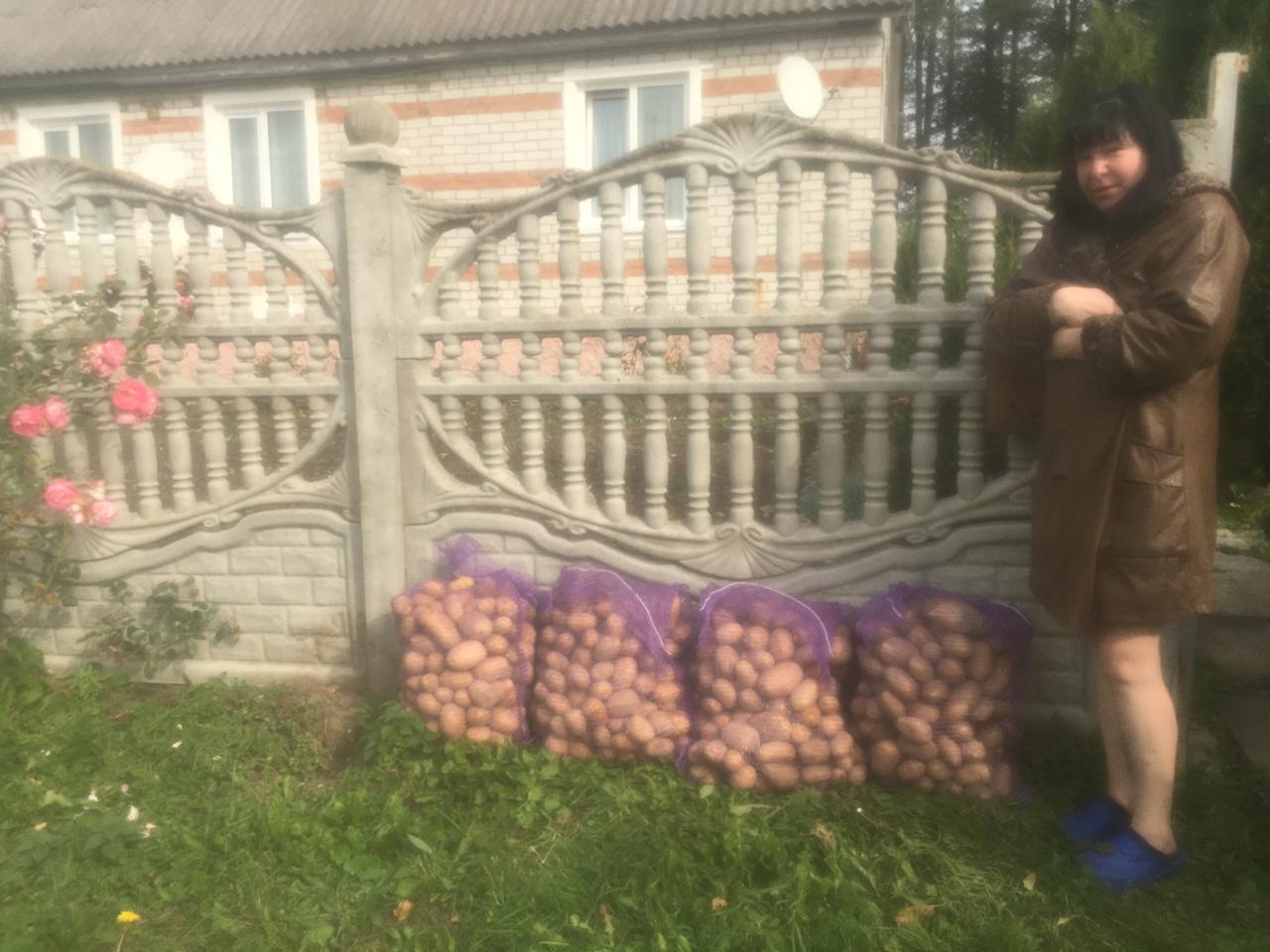 Курьез в Дубровке: картошку муж привез, увез… мусоровоз
