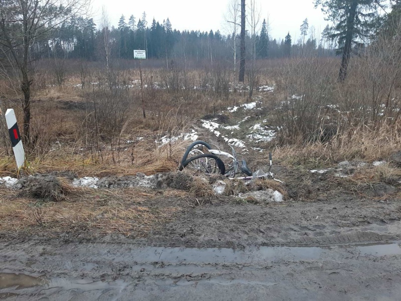 В Дятьковском районе водитель иномарки насмерть сбил велосипедистку
