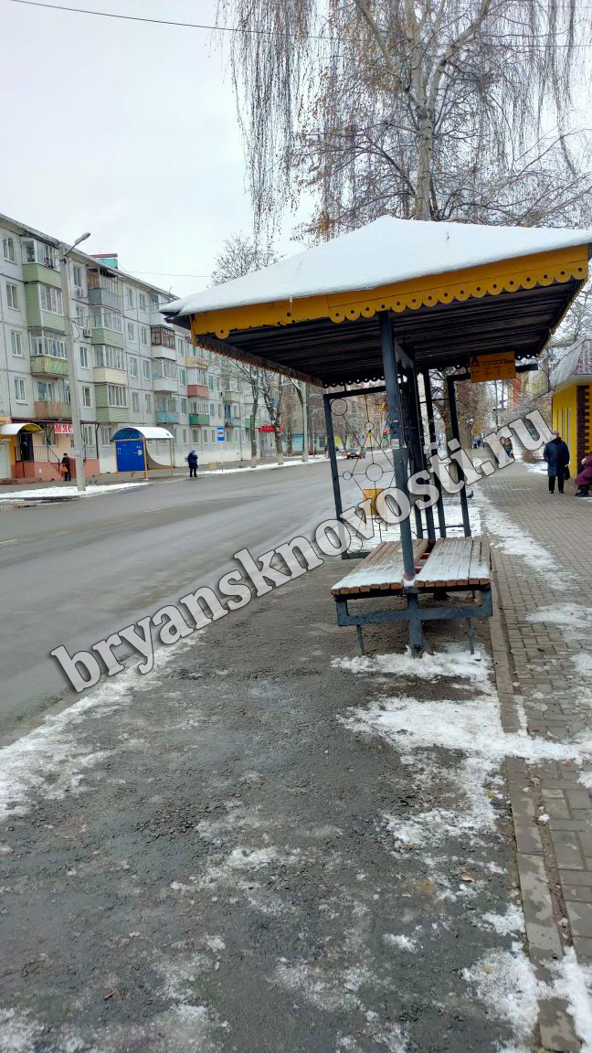 В Новозыбкове заметили «падающую» остановку (ФОТОРЕП)