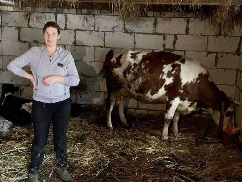 Корова спасла от смерти многодетную семью в Стародубском районе