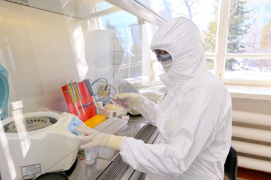 Правительство выделит Брянщине деньги на лаборатории для тестирования на коронавирус