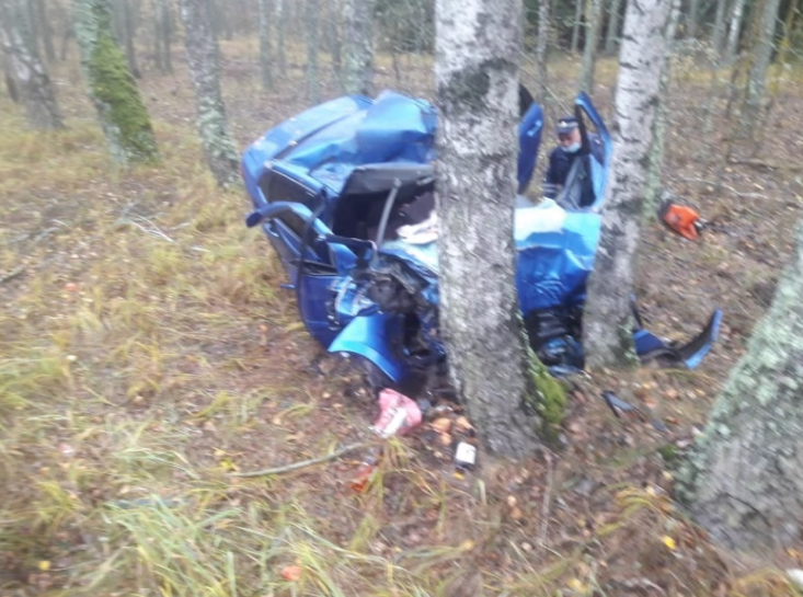 Водителя под Климово убило упавшее дерево (ФОТОРЕП)