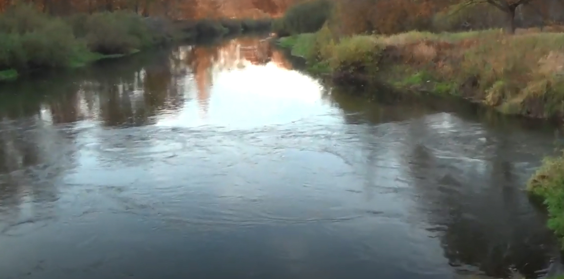 Блогер нашел место обитания водяного в Брянской области