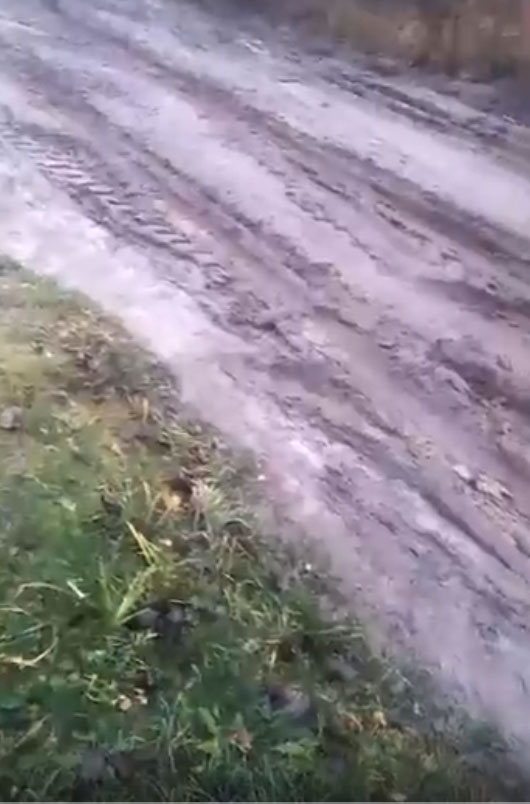 Не дорога – месиво: жители поселка в Брасовском районе показали центральную улицу (ВИДЕО)