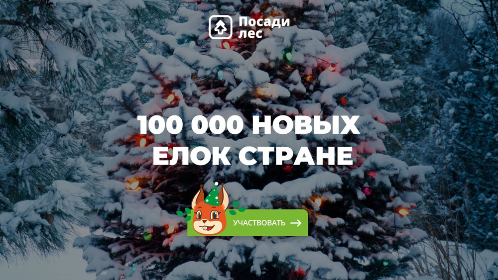 Брянцев приглашают включиться в новогодний проект «100 тысяч ёлок стране»