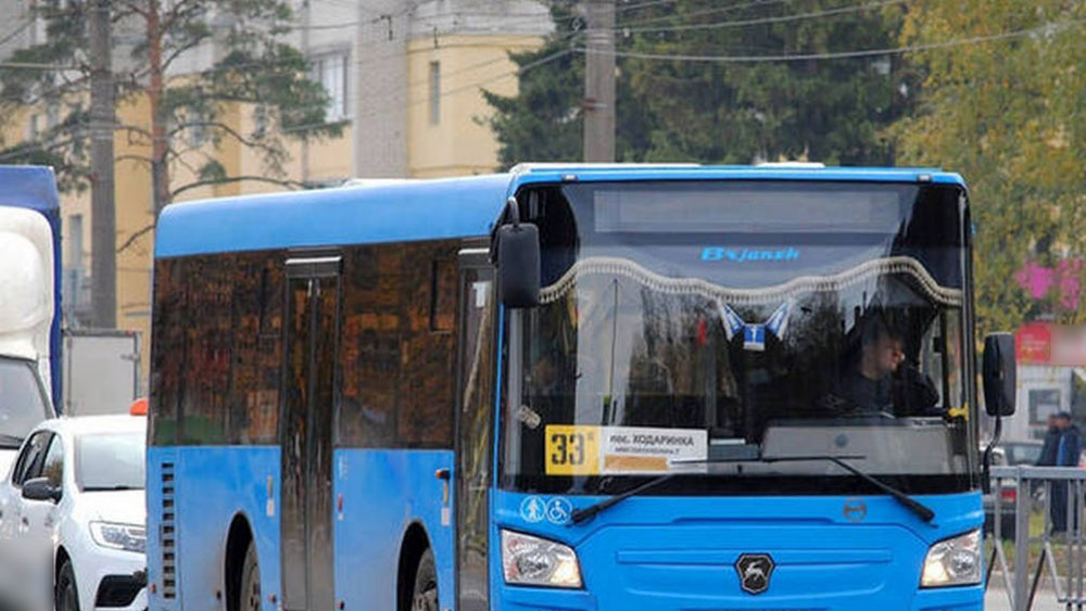 Жители Брянска просят вернуть отмененный маршрут 33к