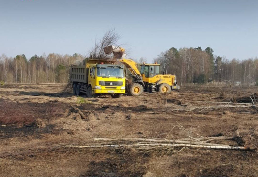 В Брянской области добавляют заброшенные земли в сельхозоборот