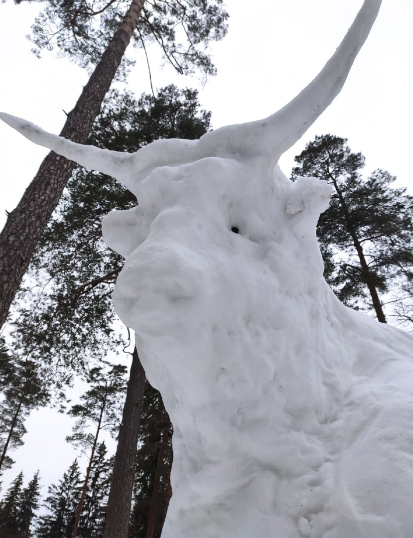 Активисты Белых Берегов проложили лыжню и украсили трассу эпичной скульптурой