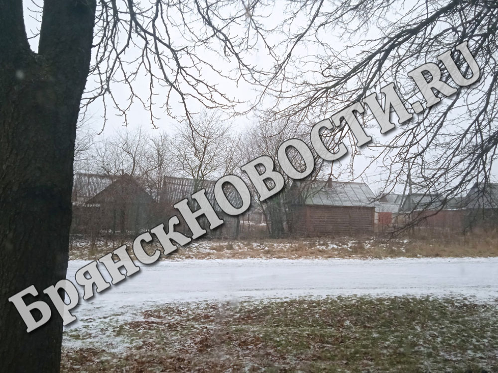 Снег, дождь, гололедица в Брянской области