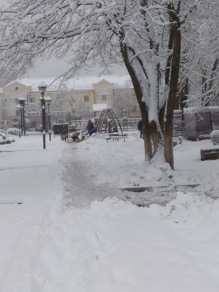 В брянском парке тротуарную плитку меняют «на зимнюю»