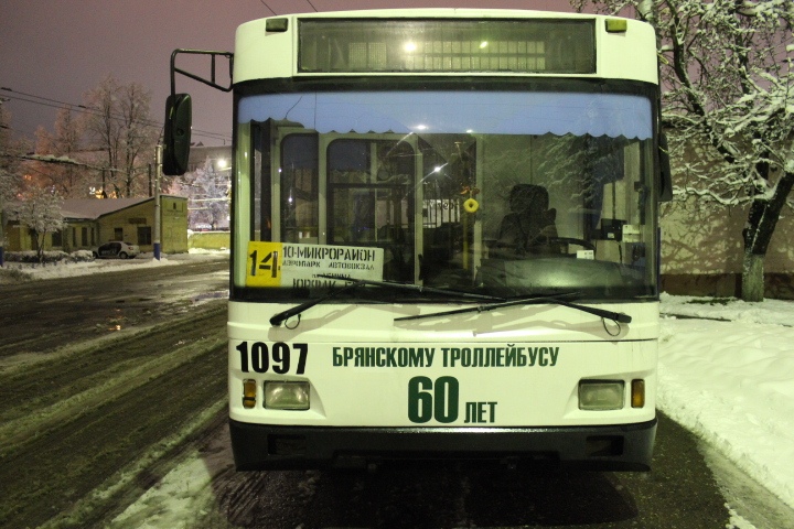 Троллейбус остается в строю: Брянск намерен сохранить электрический транспорт