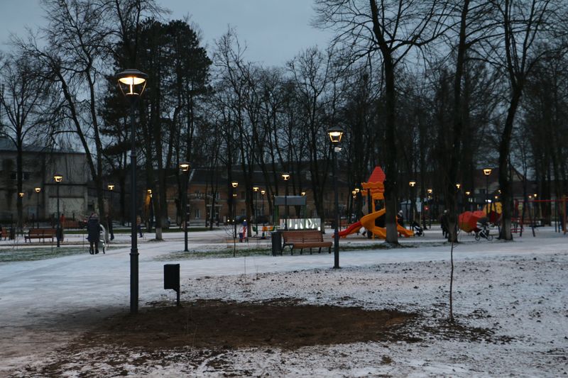 В обновленном парке в Клинцах высадят более сотни деревьев