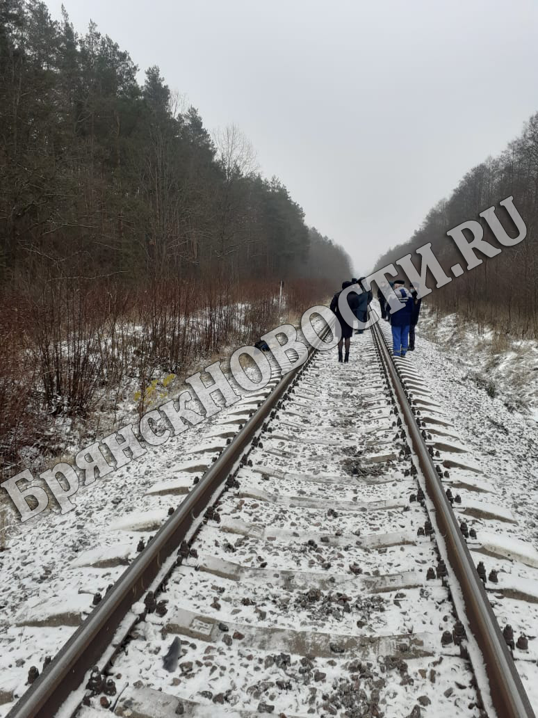 В Новозыбкове поезд «Москва –Климово» сбил мужчину (ФОТОРЕП) •  БрянскНОВОСТИ.RU